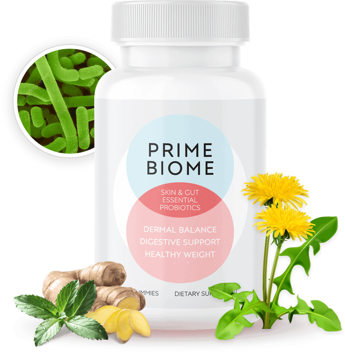 Prime Biome-digestive supplement